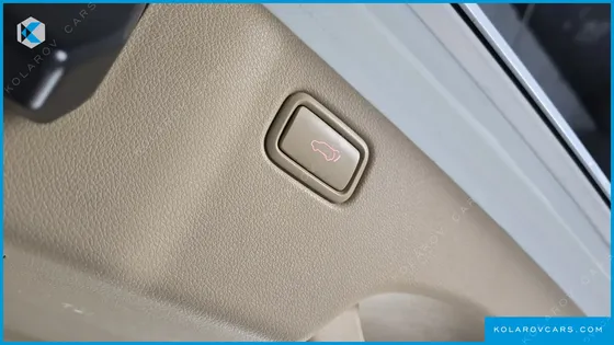 KIA CARNIVAL GASOLINE 9-SEATER NOBLESSE SPECIAL