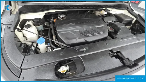 KIA CARNIVAL 9-SEATER HI-LIMOUSINE