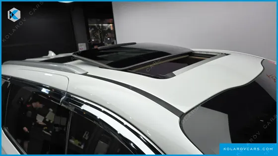 KIA CARNIVAL 7-SEATER LIMOUSINE