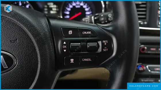 KIA CARNIVAL 9-SEATER NOBLESSE SPECIAL
