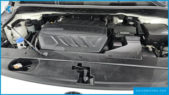 KIA CARNIVAL 9-SEATER NOBLESSE SPECIAL