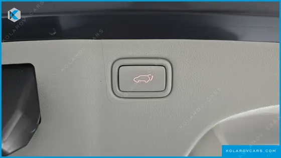 KIA CARNIVAL GASOLINE 9-SEATER NOBLESSE SPECIAL