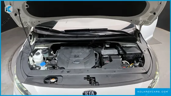 KIA CARNIVAL GASOLINE 7-SEATER LIMOUSINE