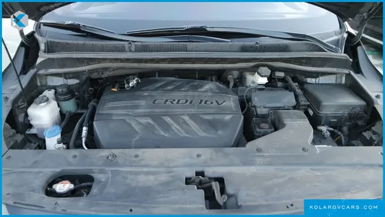 KIA CARNIVAL 7-SEATER LIMOUSINE