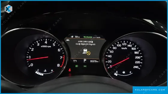 KIA CARNIVAL GASOLINE 9-SEATER NOBLESSE SPECIAL