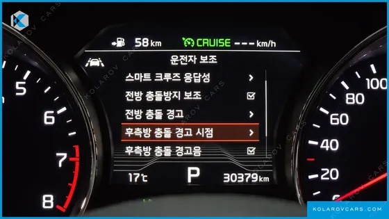 KIA CARNIVAL GASOLINE 9-SEATER NOBLESSE SPECIAL