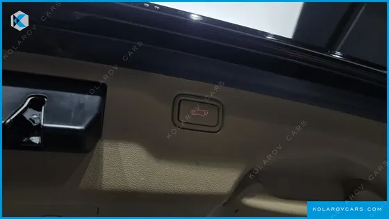 KIA CARNIVAL 9-SEATER NOBLESSE SPECIAL