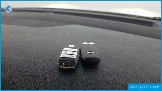 KIA CARNIVAL GASOLINE 9-SEATER HI-LIMOUSINE