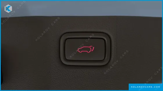 KIA CARNIVAL GASOLINE 9-SEATER HI-LIMOUSINE