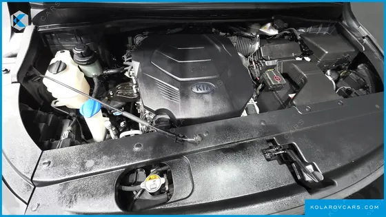 KIA CARNIVAL GASOLINE 9-SEATER HI-LIMOUSINE
