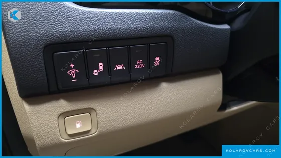 KIA CARNIVAL GASOLINE 9-SEATER HI-LIMOUSINE