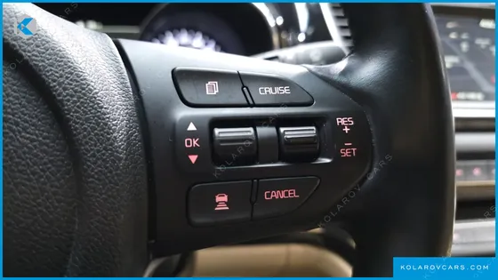 KIA CARNIVAL GASOLINE 9-SEATER HI-LIMOUSINE