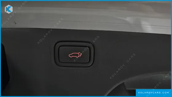 KIA CARNIVAL 9-SEATER NOBLESSE SPECIAL