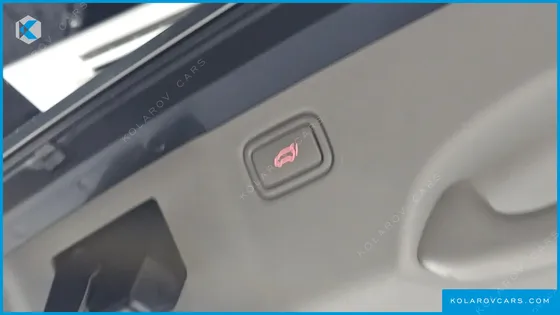 KIA CARNIVAL GASOLINE 9-SEATER NOBLESSE SPECIAL