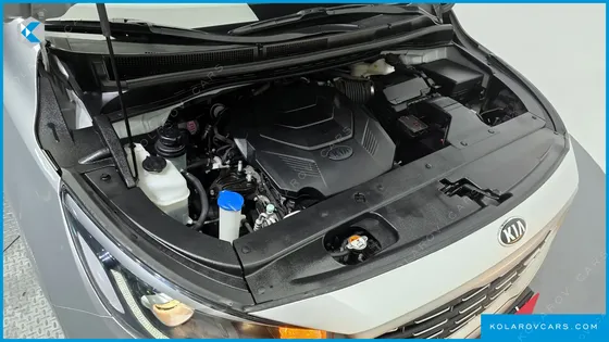 KIA CARNIVAL GASOLINE 11-SEATER PRESTIGE
