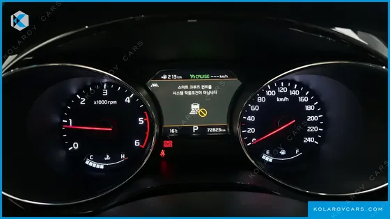 KIA CARNIVAL 9-SEATER NOBLESSE SPECIAL