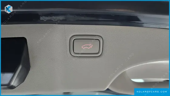 KIA CARNIVAL GASOLINE 9-SEATER NOBLESSE SPECIAL