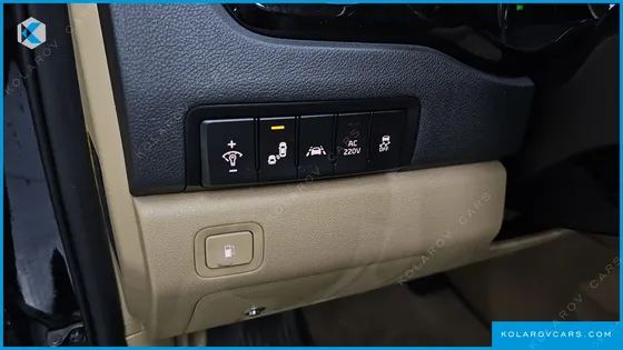 KIA CARNIVAL GASOLINE 9-SEATER LIMOUSINE(SPECIAL VEHICLE)