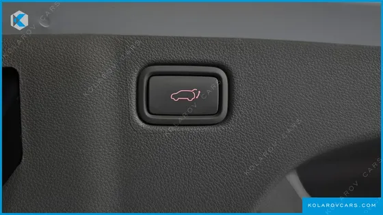 KIA CARNIVAL 9-SEATER NOBLESSE SPECIAL