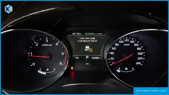 KIA CARNIVAL 9-SEATER LIMOUSINE(SPECIAL VEHICLE)