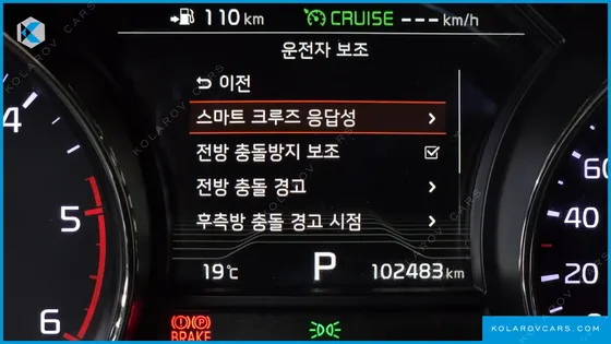 KIA CARNIVAL 9-SEATER LIMOUSINE(SPECIAL VEHICLE)