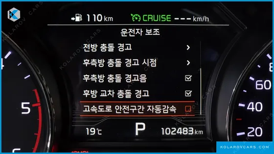 KIA CARNIVAL 9-SEATER LIMOUSINE(SPECIAL VEHICLE)