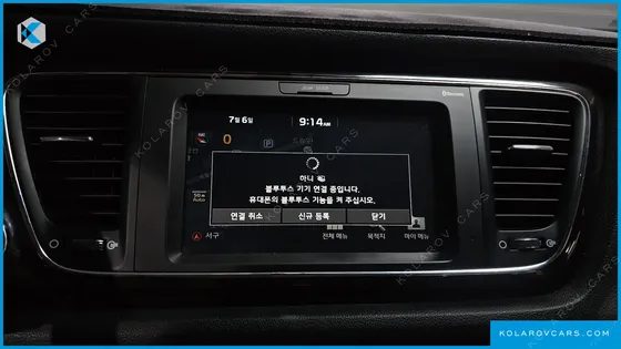 KIA CARNIVAL 9-SEATER NOBLESSE