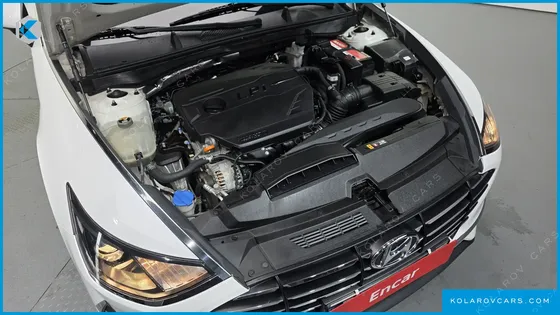 HYUNDAI SONATA 2.0 LPG(RENTAL CAR)
