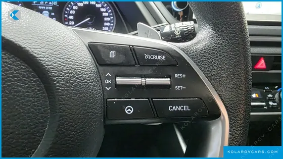 HYUNDAI SONATA 2.0 LPG(DISABLED PERSON)
