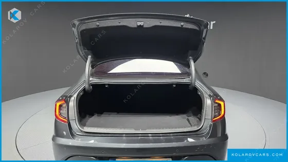 HYUNDAI SONATA 2.0 LPG(DISABLED PERSON)