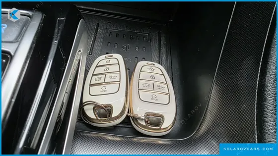 HYUNDAI SONATA 2.0 LPG(DISABLED PERSON)