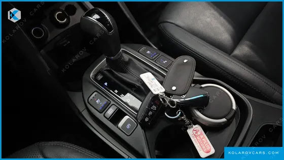 HYUNDAI MAXCRUISE DIESEL(E-VGT) 2.2 2WD EXCLUSIVE
