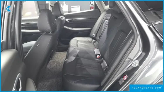 HYUNDAI SONATA 2.0 LPG(DISABLED PERSON)