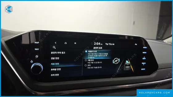 HYUNDAI SONATA 2.0 LPG(DISABLED PERSON)