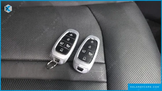 HYUNDAI SONATA 2.0 LPG(DISABLED PERSON)