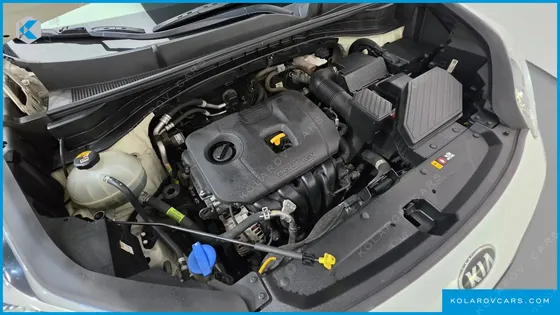 KIA SPORTAGE GASOLINE