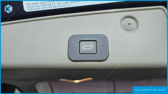 KIA CARNIVAL GRAND CARNIVAL HI LIMOUSINE GLX