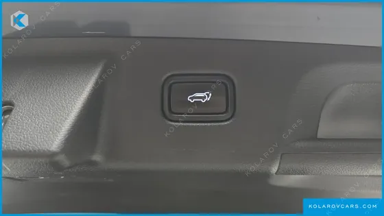 HYUNDAI PALISADE GASOLINE 3.8 2WD