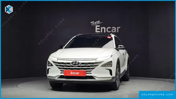 HYUNDAI NEXO PREMIUM