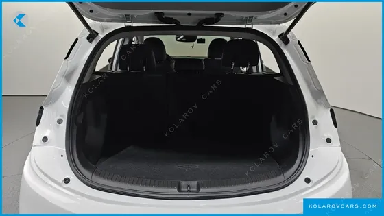 CHEVROLET (GM DAEWOO) BOLT EV EV PREMIER