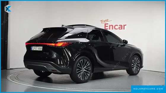 LEXUS RX LUXURY