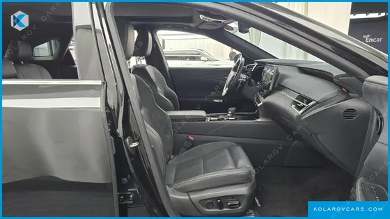 LEXUS RX LUXURY