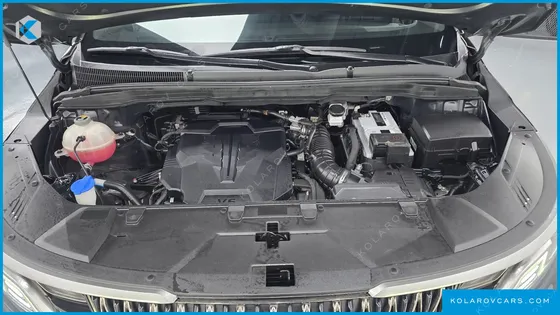 KIA CARNIVAL GASOLINE 9-SEATER HI-LIMOUSINE