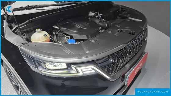 KIA CARNIVAL DIESEL 9-SEATER SIGNATURE