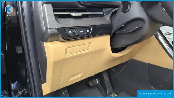 KIA CARNIVAL GASOLINE 9-SEATER SIGNATURE