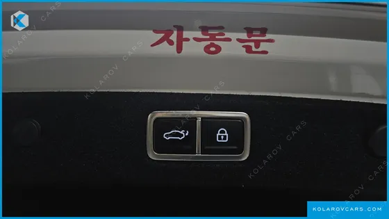 HYUNDAI GRANDEUR 3.5 LPG 2WD (TAXI)