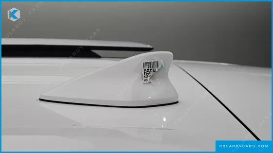 KIA CARNIVAL GASOLINE 9-SEATER PRESTIGE