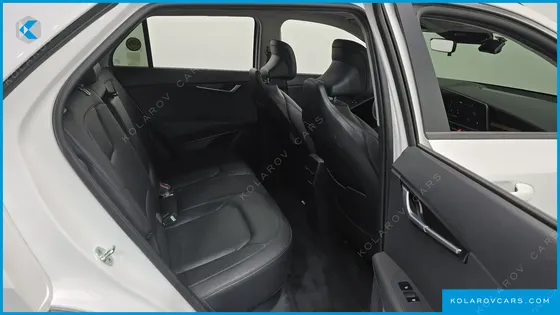 KIA NIRO EARTH