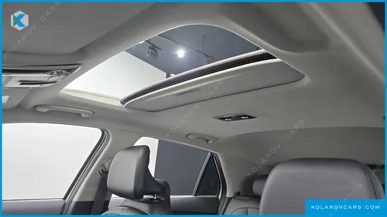 KIA NIRO EARTH