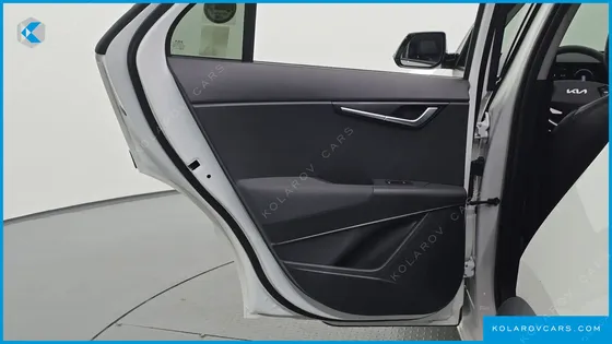 KIA NIRO EARTH